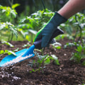 Everything You Need to Know About Fertilizing