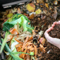 Organic Compost Mixtures: A Comprehensive Overview